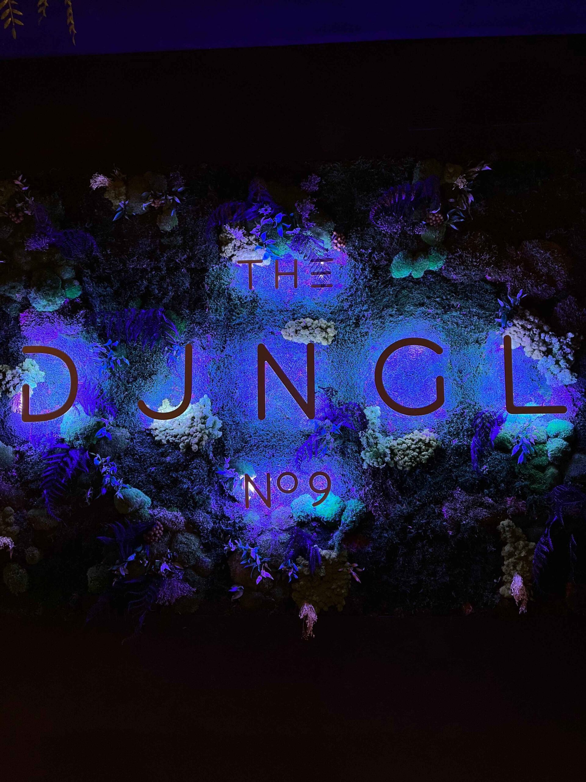Mehr über den Artikel erfahren Erfahrungsbericht: Restaurant DJngl in Heidelberg