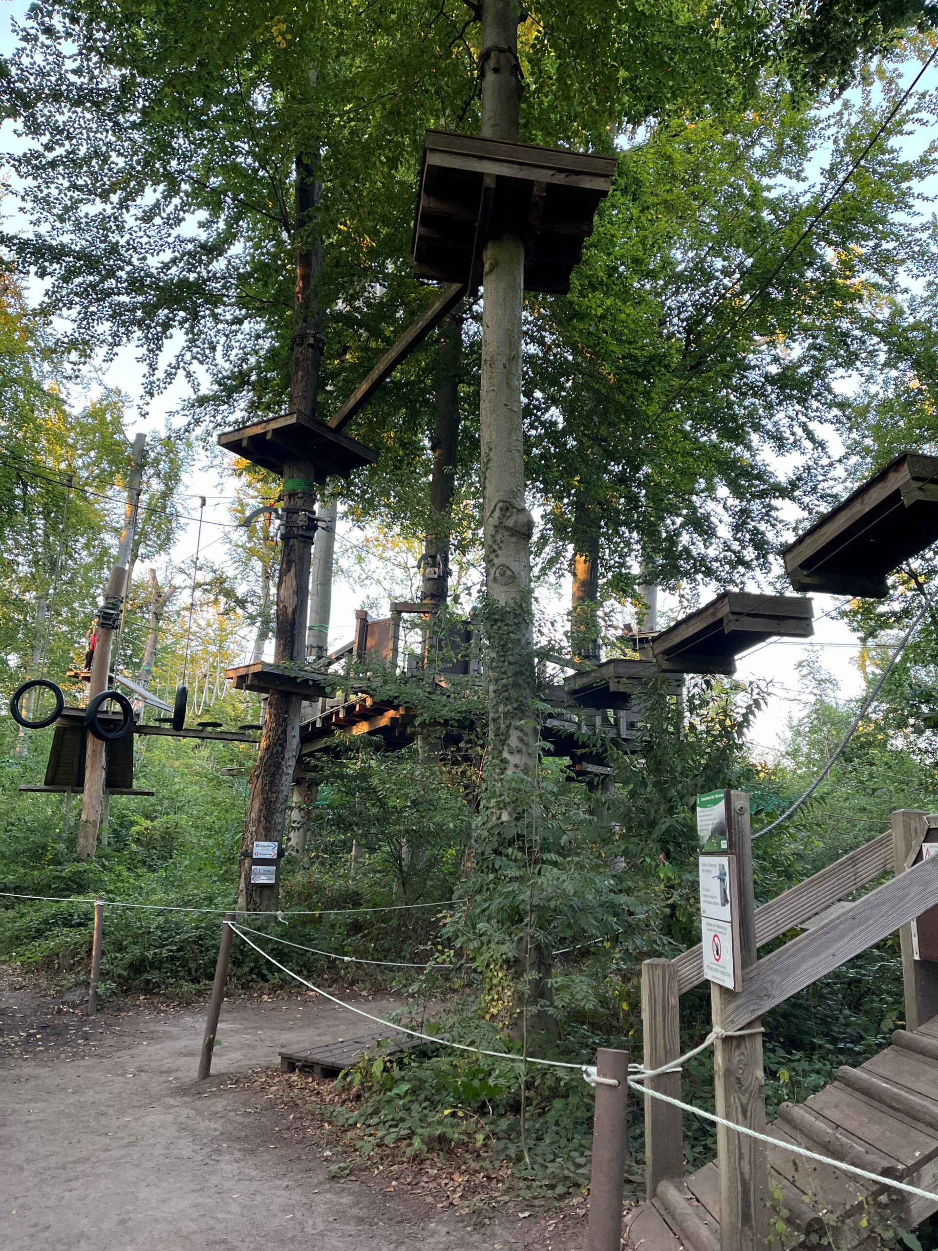 Mehr über den Artikel erfahren Kletterwald Viernheim: Dein Abenteuer im Wald!