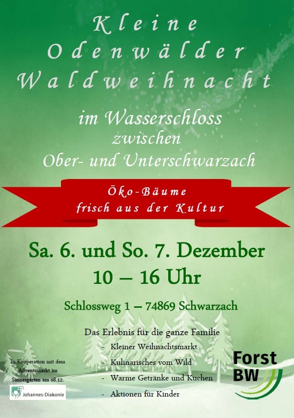Mehr über den Artikel erfahren Kleine Odenwälder Waldweihnacht in Schwarzach – Termine, Programm & Highlights 2025