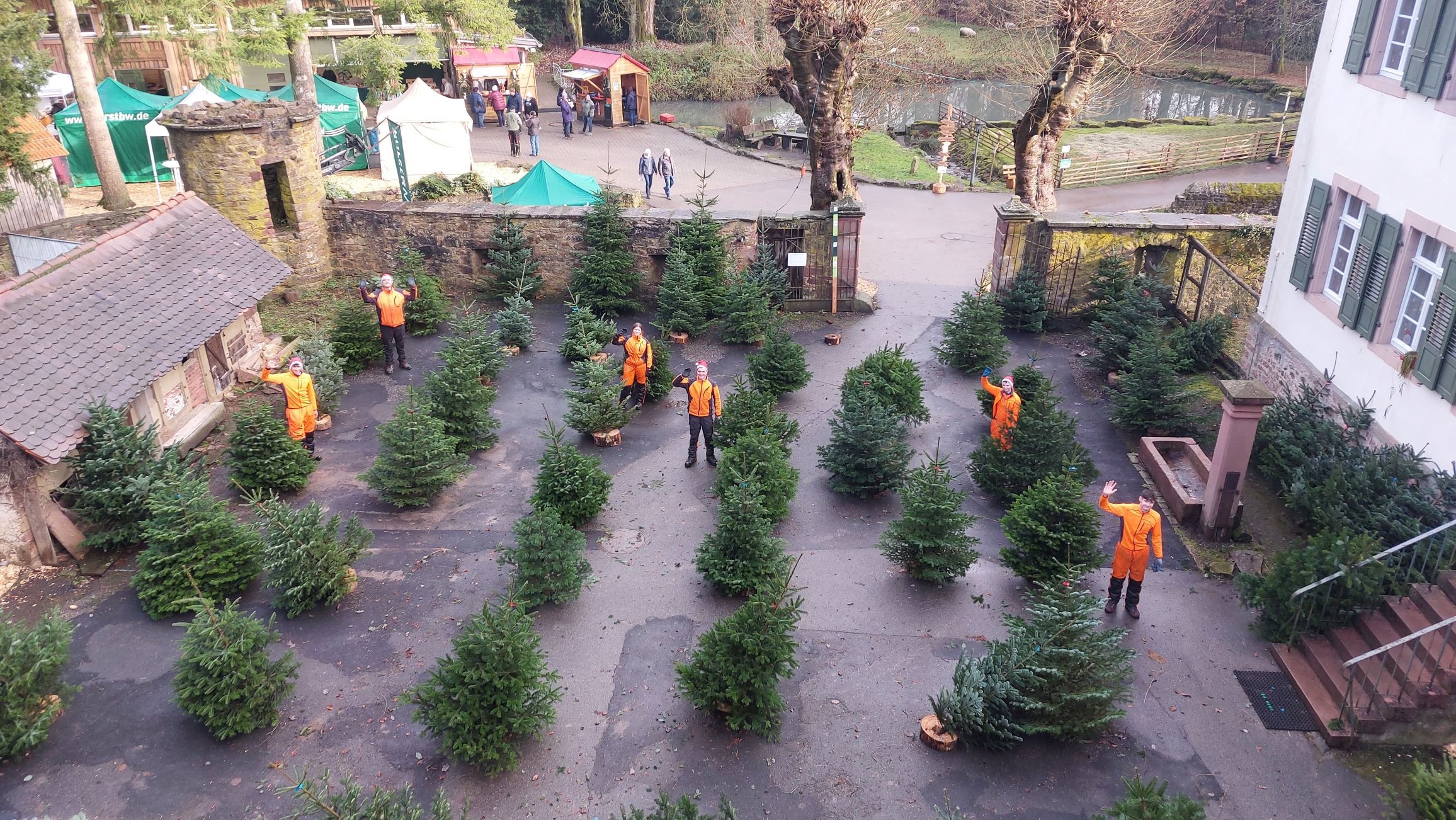 Weihnachtsbäume ForstBW