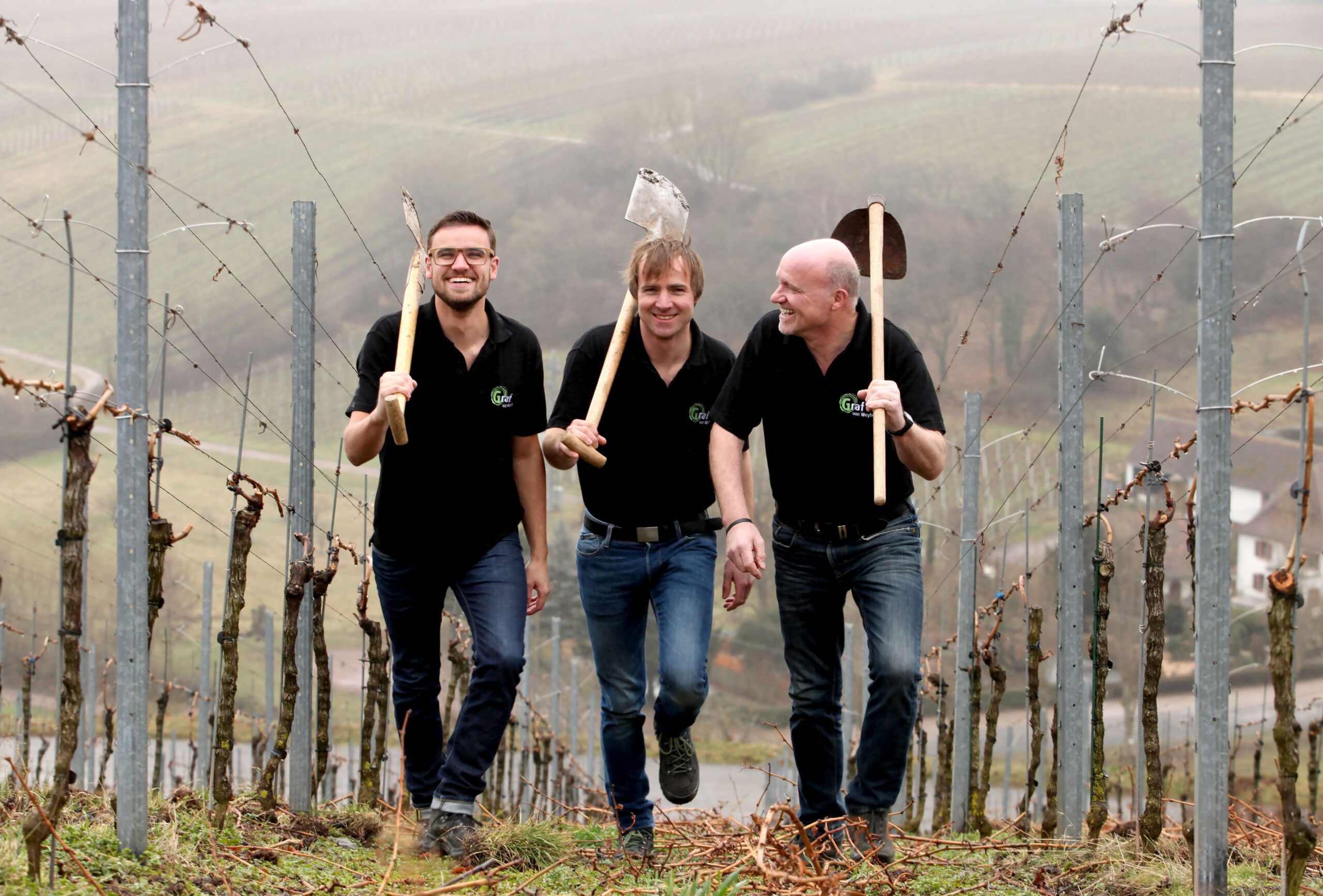 Mehr über den Artikel erfahren Zwischen Schieferboden und Pfälzer Höhenluft: ein Gespräch mit Jürgen Graf vom Weingut Graf von Weyher