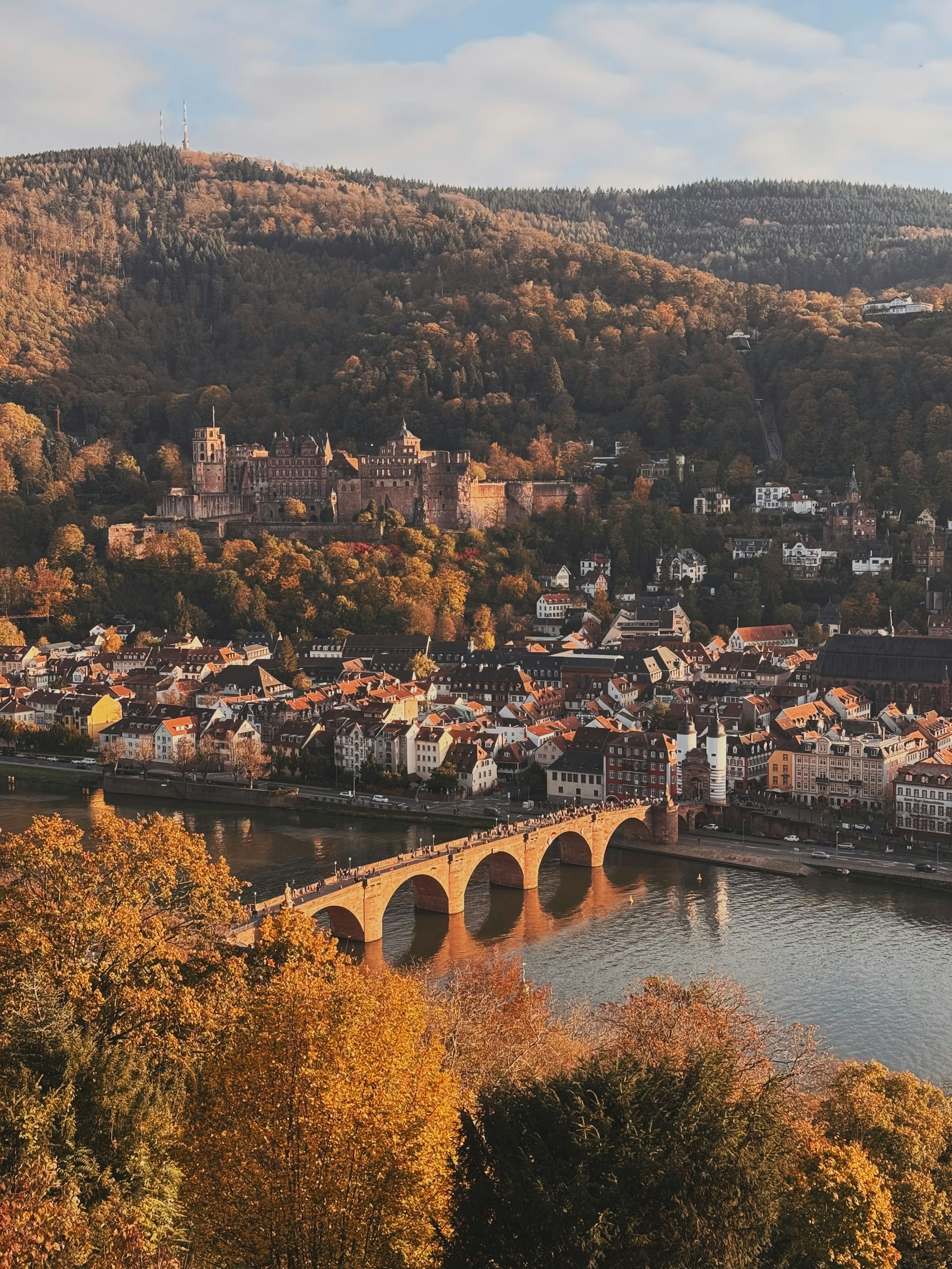 Mehr über den Artikel erfahren Burgen und Schlösser in der Rhein-Neckar-Region: 12 Ausflugsziele