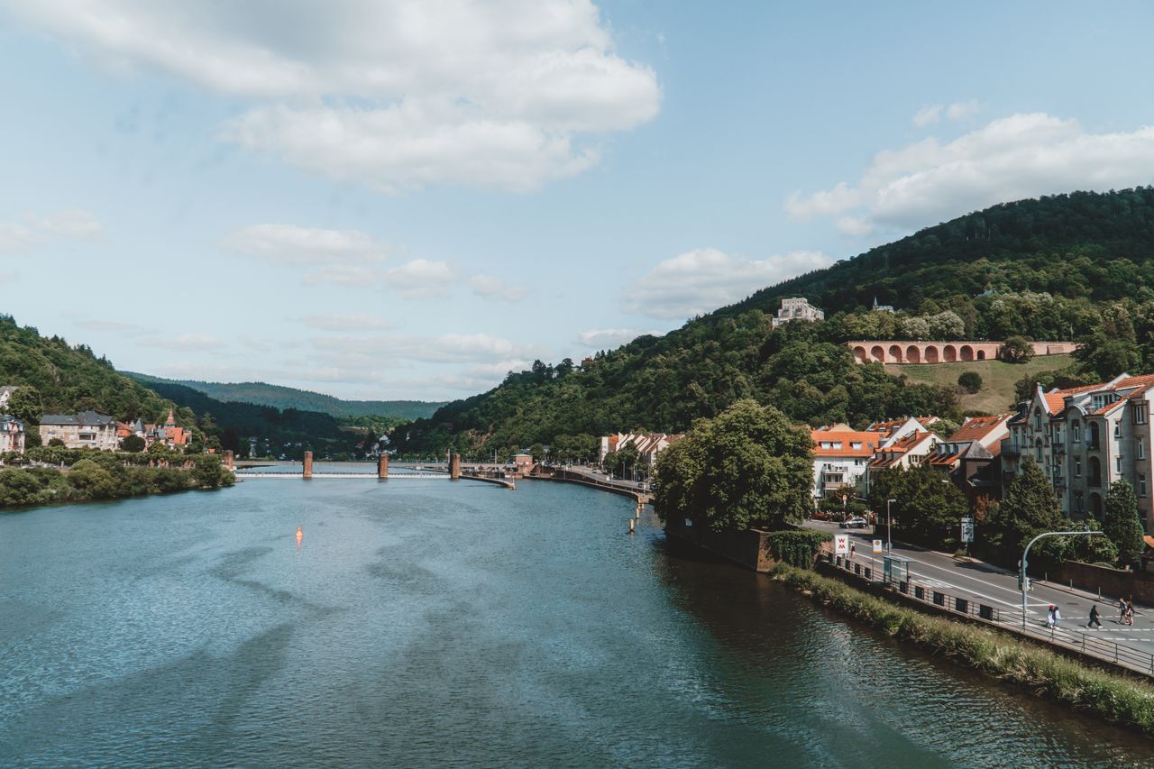 Mehr über den Artikel erfahren Ausflüge am Neckar: 10 schöne Ziele in der Region