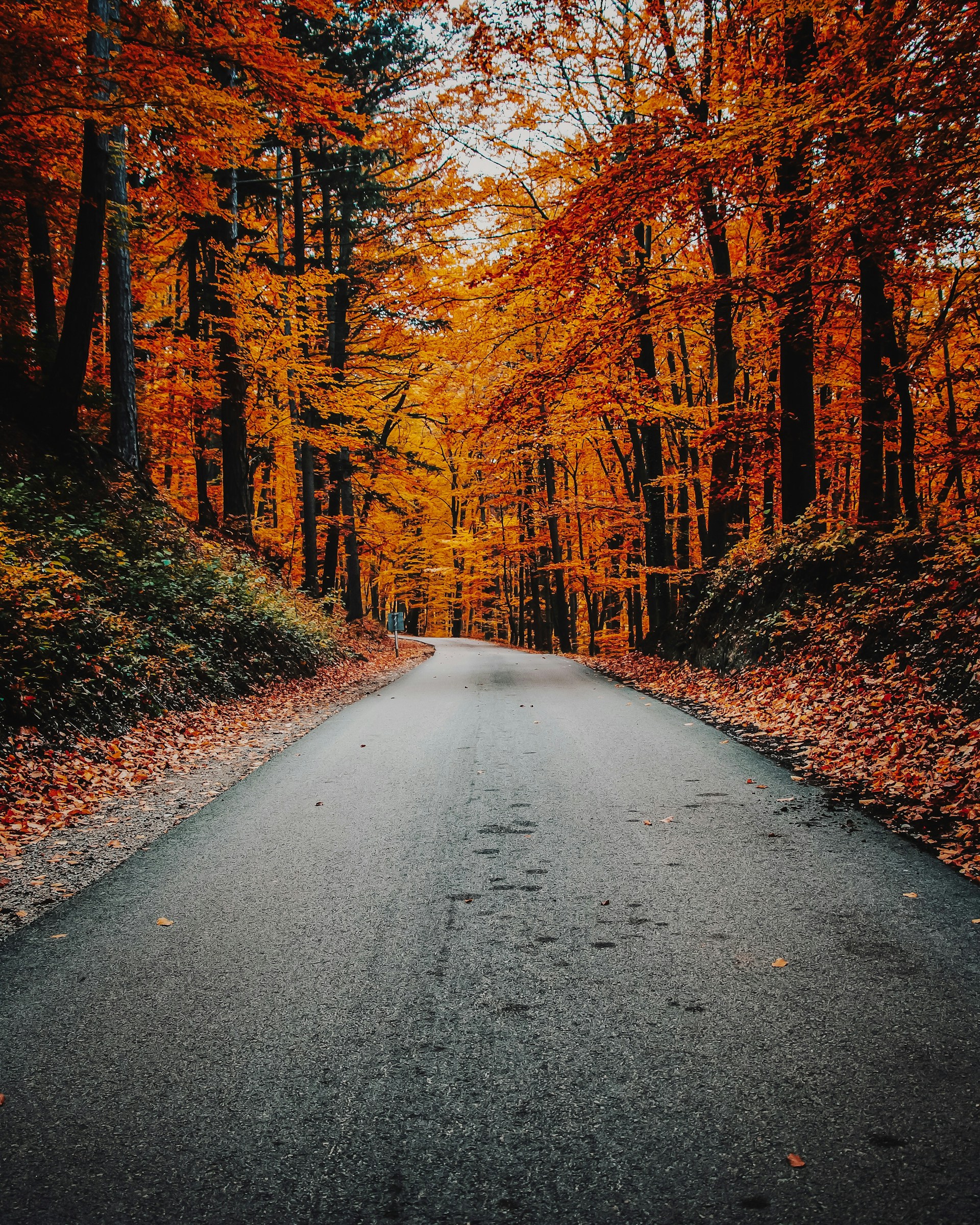 Mehr über den Artikel erfahren Hockenheim im Herbst: 7 Ausflugsziele, die du nicht verpassen solltest
